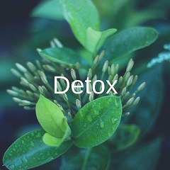 DETOX_sq