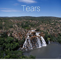 Tears_200x200